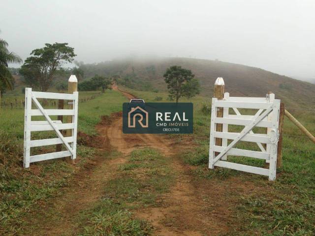 #102 - Terreno para Venda em Conceição do Mato Dentro - MG - 3