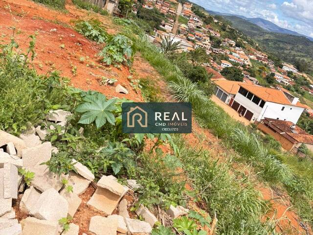 #123 - Área para Venda em Serro - MG - 3