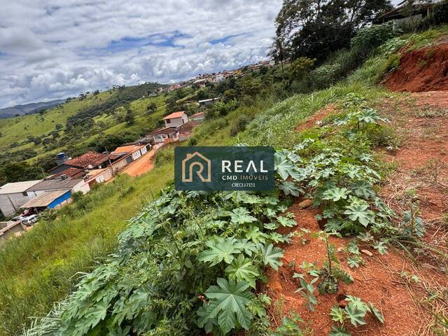 Área para Venda em Serro - 4