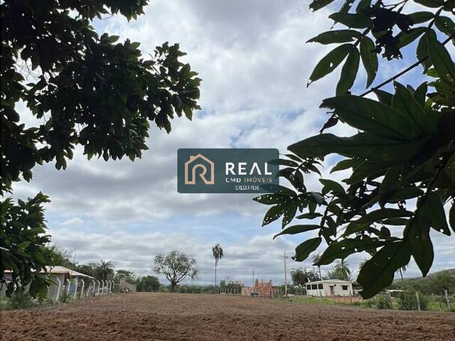 #173 - Área para Venda em Conceição do Mato Dentro - MG